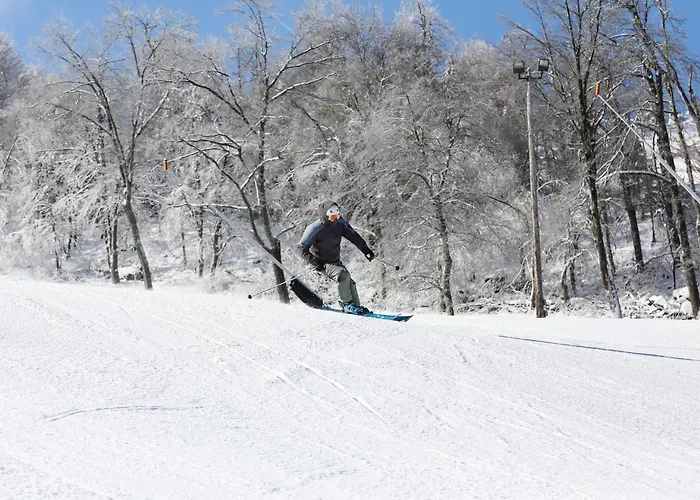 Seven Springs Sunridge 3 Bedrooms Premium Condo, Pet Friendly! Condo